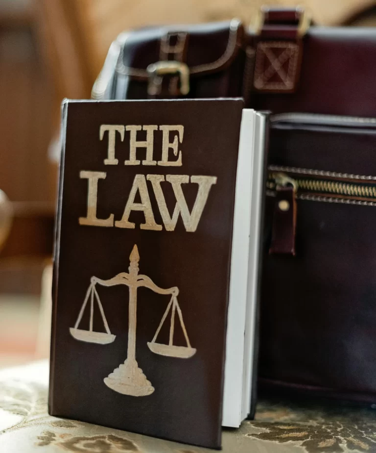 expert legal support